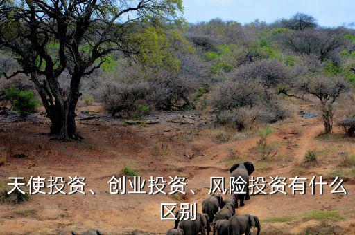 天使投資、創(chuàng)業(yè)投資、風(fēng)險投資有什么區(qū)別