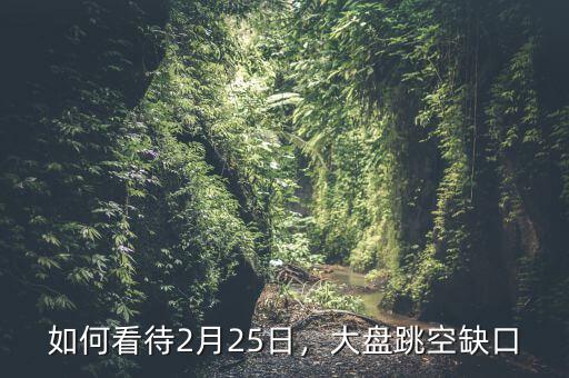 如何看待2月25日，大盤跳空缺口