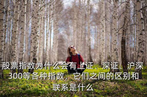股票指數(shù)為什么會有上證、深證、滬深300等各種指數(shù)，它們之間的區(qū)別和聯(lián)系是什么