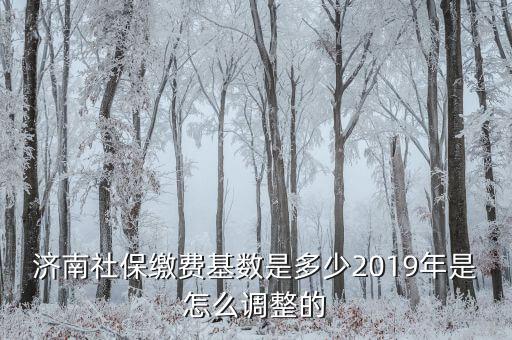 濟(jì)南社?；鶖?shù)怎么算,2019年是怎么調(diào)整的