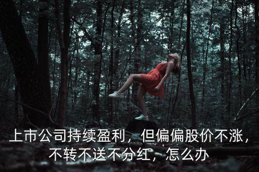 上市公司持續(xù)盈利，但偏偏股價(jià)不漲，不轉(zhuǎn)不送不分紅，怎么辦