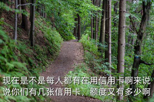 現(xiàn)在是不是每人都有在用信用卡啊來說說你們有幾張信用卡，額度又有多少啊