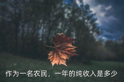 作為一名農(nóng)民，一年的純收入是多少