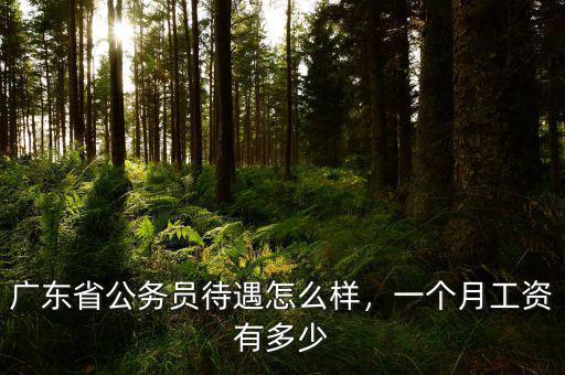 廣東省公務(wù)員待遇怎么樣，一個(gè)月工資有多少