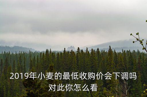 2019年小麥的最低收購價(jià)會下調(diào)嗎對此你怎么看