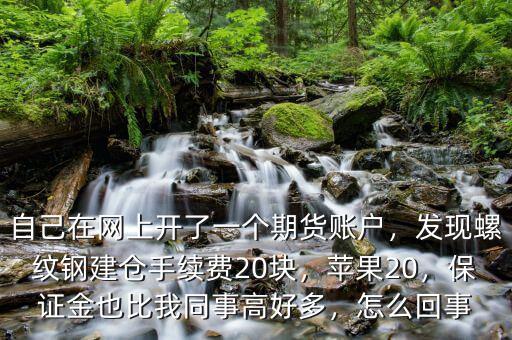 自己在網(wǎng)上開(kāi)了一個(gè)期貨賬戶(hù)，發(fā)現(xiàn)螺紋鋼建倉(cāng)手續(xù)費(fèi)20塊，蘋(píng)果20，保證金也比我同事高好多，怎么回事