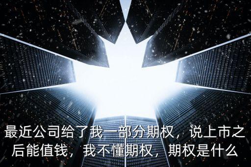 最近公司給了我一部分期權，說上市之后能值錢，我不懂期權，期權是什么
