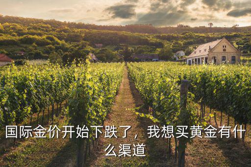 國際金價開始下跌了，我想買黃金有什么渠道