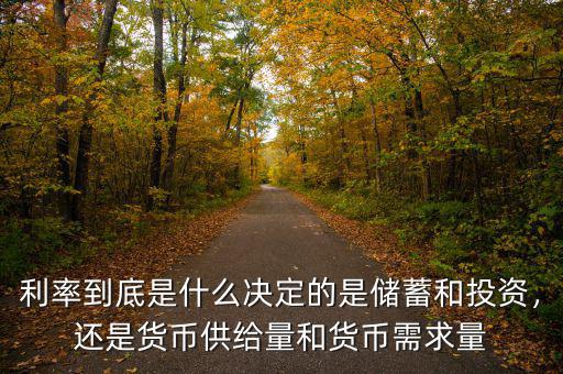 利率到底是什么決定的是儲(chǔ)蓄和投資，還是貨幣供給量和貨幣需求量