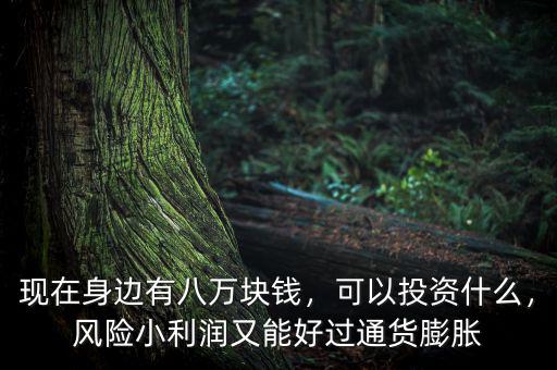 現(xiàn)在身邊有八萬塊錢，可以投資什么，風險小利潤又能好過通貨膨脹