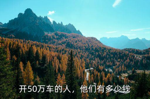 開50萬車的人，他們有多少錢