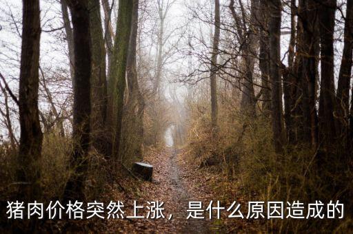 豬肉價(jià)格突然上漲，是什么原因造成的