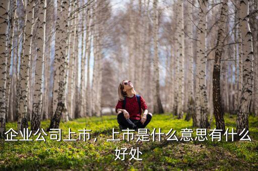 企業(yè)公司上市，上市是什么意思有什么好處