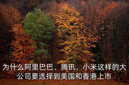 阿里巴巴為什么到美國上市,阿里巴巴已經在美國上市