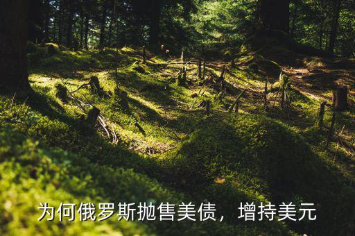為何俄羅斯拋售美債，增持美元