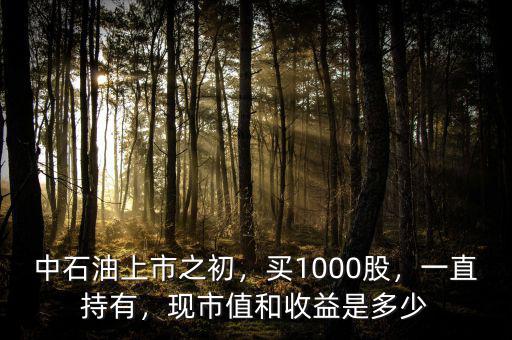 中石油上市之初，買1000股，一直持有，現(xiàn)市值和收益是多少