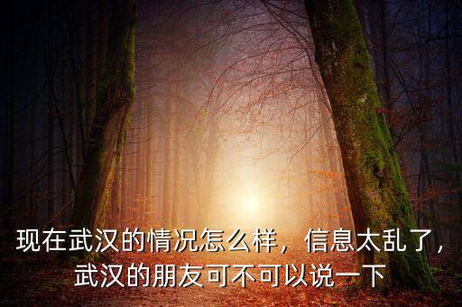 現(xiàn)在武漢的情況怎么樣，信息太亂了，武漢的朋友可不可以說一下