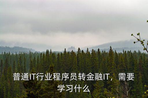普通IT行業(yè)程序員轉(zhuǎn)金融IT，需要學(xué)習(xí)什么