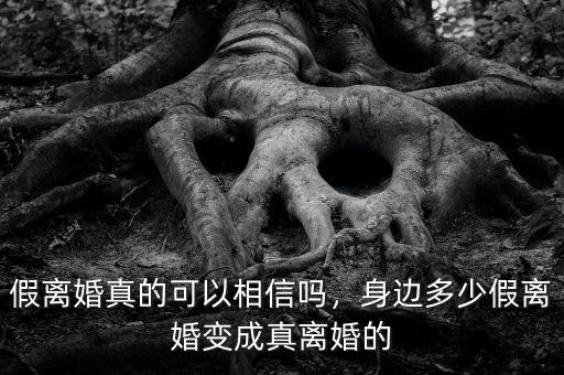 假離婚真的可以相信嗎，身邊多少假離婚變成真離婚的