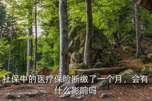社保中的醫(yī)療保險(xiǎn)斷繳了一個(gè)月，會(huì)有什么影響嗎