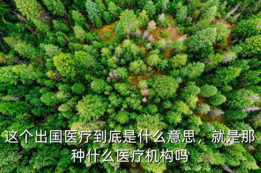 這個出國醫(yī)療到底是什么意思，就是那種什么醫(yī)療機(jī)構(gòu)嗎