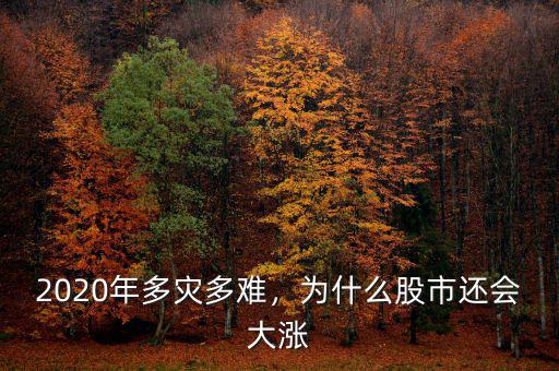 2020年多災多難，為什么股市還會大漲