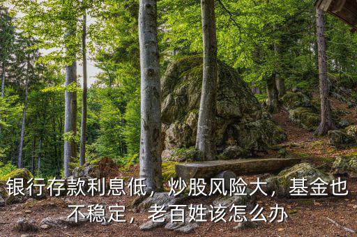銀行存款利息低，炒股風(fēng)險大，基金也不穩(wěn)定，老百姓該怎么辦