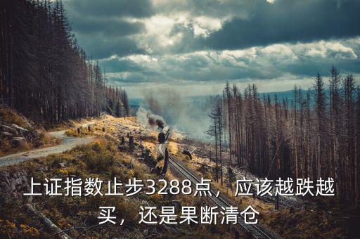 上證指數(shù)止步3288點(diǎn)，應(yīng)該越跌越買(mǎi)，還是果斷清倉(cāng)