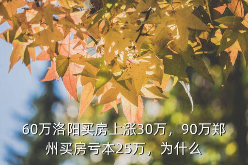 60萬洛陽買房上漲30萬，90萬鄭州買房虧本25萬，為什么