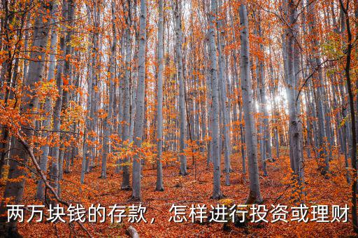 兩萬(wàn)塊錢的存款，怎樣進(jìn)行投資或理財(cái)