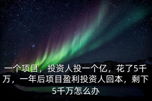 一個(gè)項(xiàng)目，投資人投一個(gè)億，花了5千萬，一年后項(xiàng)目盈利投資人回本，剩下5千萬怎么辦