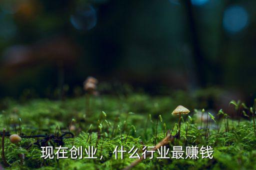 現(xiàn)在創(chuàng)業(yè)，什么行業(yè)最賺錢