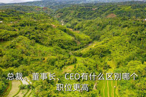 總裁、董事長(zhǎng)、CEO有什么區(qū)別哪個(gè)職位更高