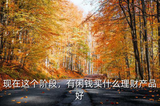 現(xiàn)在這個階段，有閑錢買什么理財(cái)產(chǎn)品好