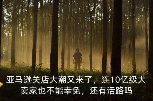亞馬遜關(guān)店大潮又來了，連10億級(jí)大賣家也不能幸免，還有活路嗎