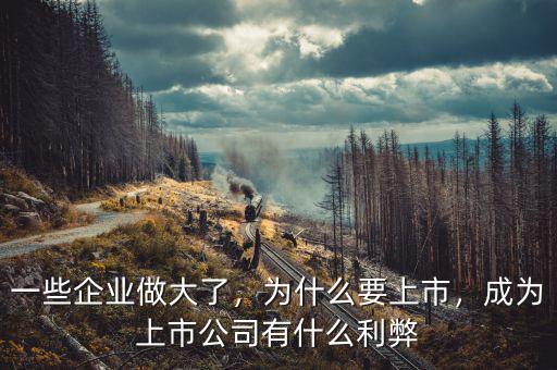 一些企業(yè)做大了，為什么要上市，成為上市公司有什么利弊