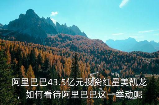 阿里巴巴43.5億元投資紅星美凱龍，如何看待阿里巴巴這一舉動(dòng)呢