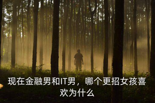 現(xiàn)在金融男和IT男，哪個(gè)更招女孩喜歡為什么