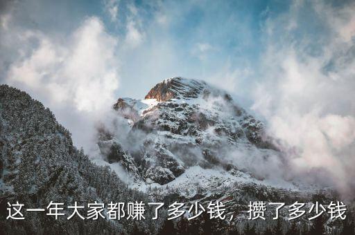 這一年大家都賺了多少錢(qián)，攢了多少錢(qián)