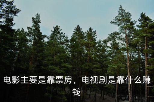 電影主要是靠票房，電視劇是靠什么賺錢