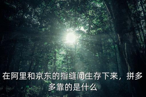 在阿里和京東的指縫間生存下來，拼多多靠的是什么
