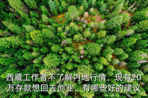 西藏工作者不了解內(nèi)地行情，現(xiàn)有20萬存款想回去創(chuàng)業(yè)，有哪些好的建議