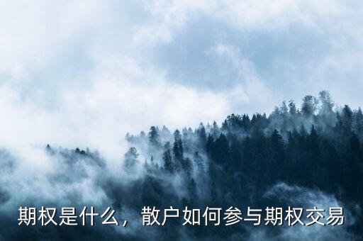 期權(quán)是什么，散戶如何參與期權(quán)交易