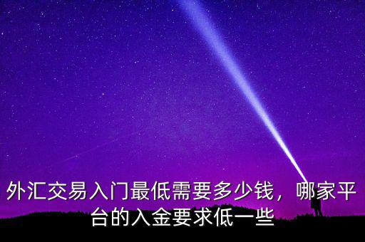外匯交易入門最低需要多少錢，哪家平臺的入金要求低一些