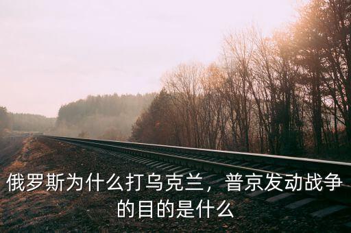 俄羅斯為什么打?yàn)蹩颂m，普京發(fā)動戰(zhàn)爭的目的是什么
