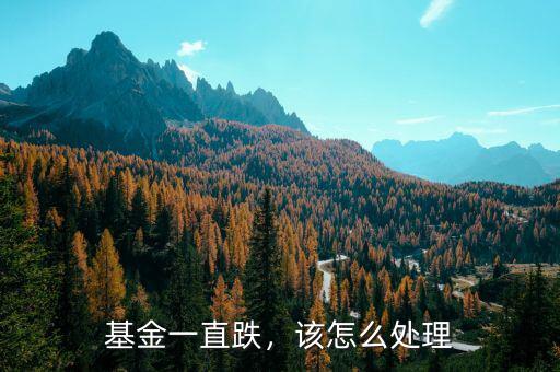 基金一直跌，該怎么處理