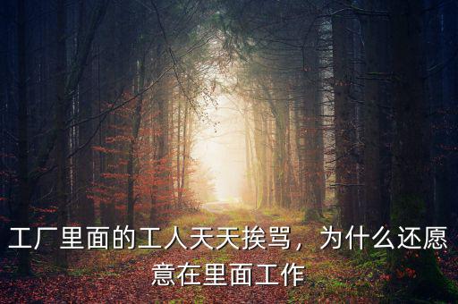 工廠里面的工人天天挨罵，為什么還愿意在里面工作