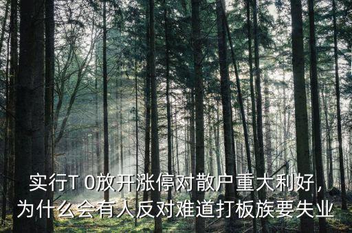 實(shí)行T 0放開(kāi)漲停對(duì)散戶重大利好，為什么會(huì)有人反對(duì)難道打板族要失業(yè)
