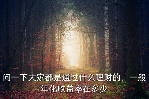 問一下大家都是通過什么理財的，一般年化收益率在多少