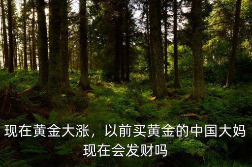 現(xiàn)在黃金大漲，以前買黃金的中國大媽現(xiàn)在會發(fā)財嗎